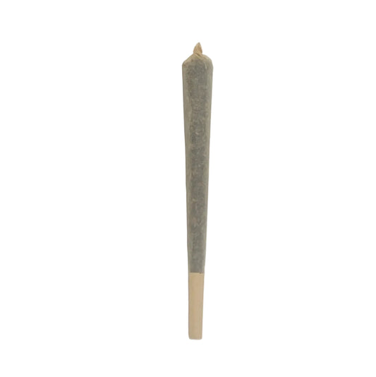 Large Pre-rolled Herbal Joints (2 Styles)