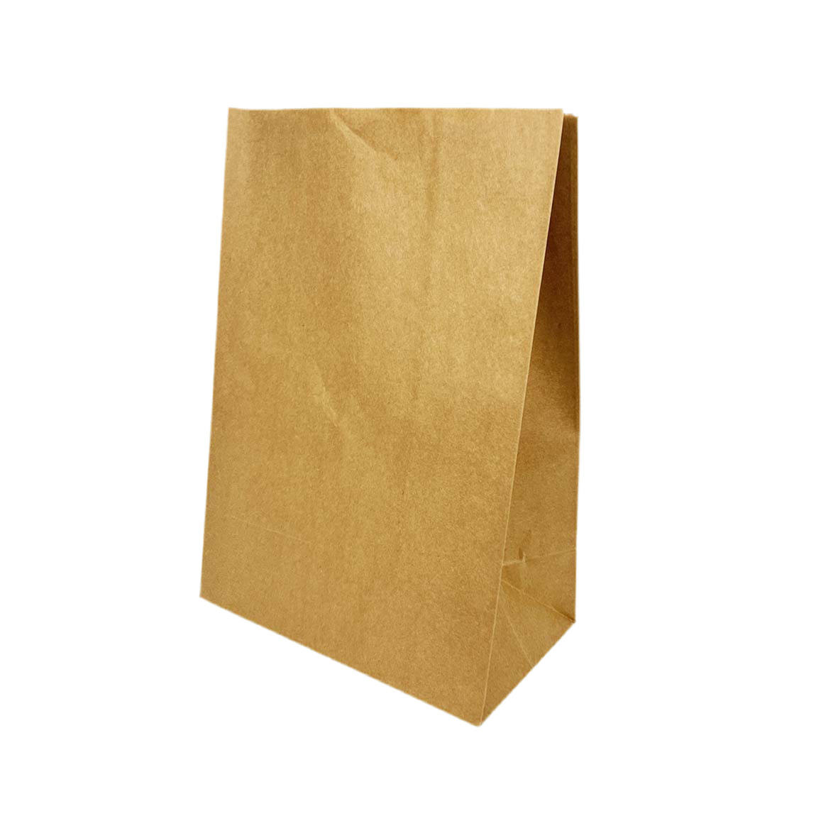 US Grocery Paper Bag (Price is for 5)