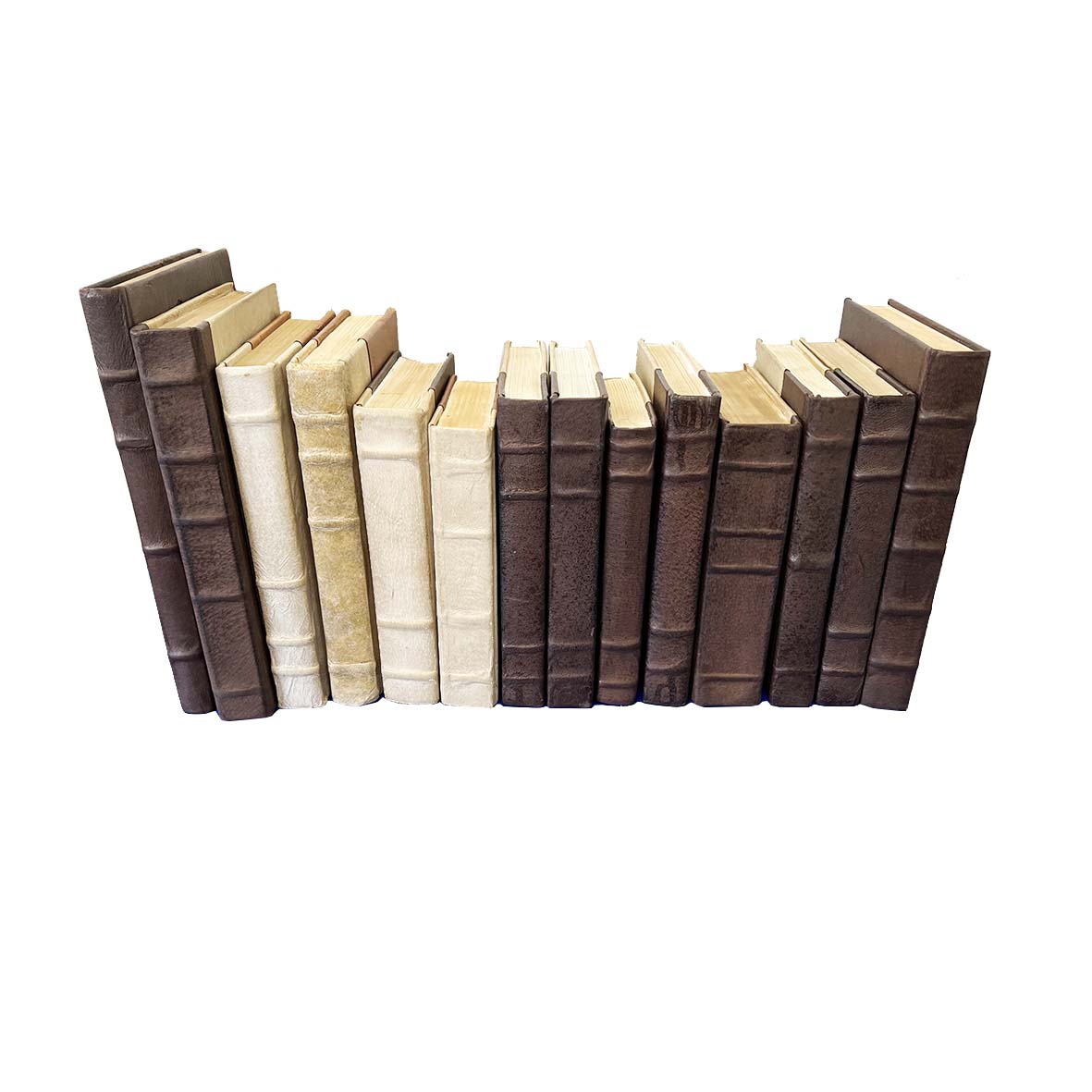 Leather Bound Books - Set 1
