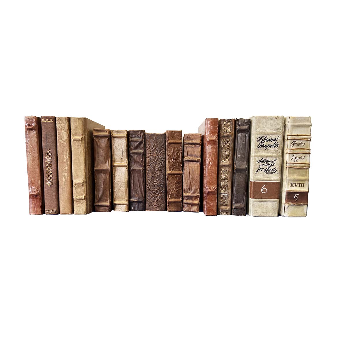 Leather Bound Books - Set 8