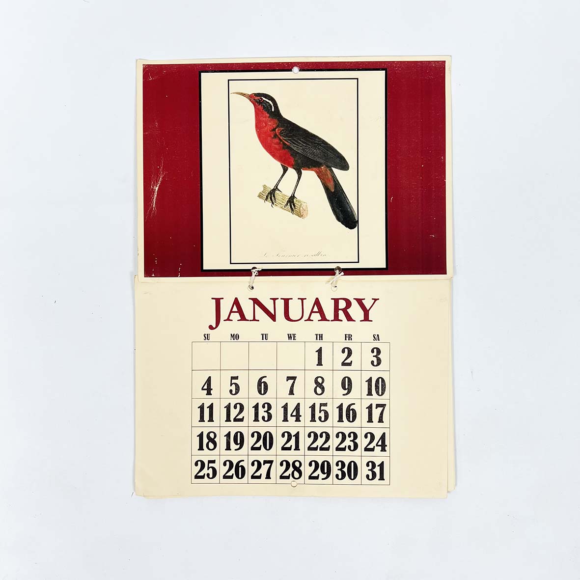 Vintage Universal Bird Year Calendar