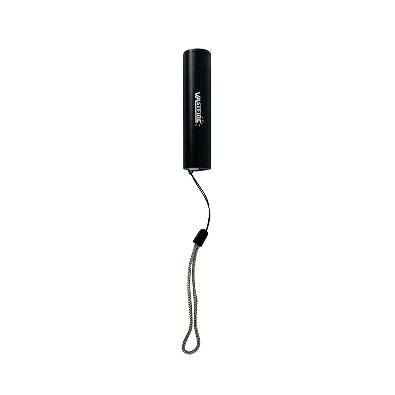 Miniature Black Light / UV Torch