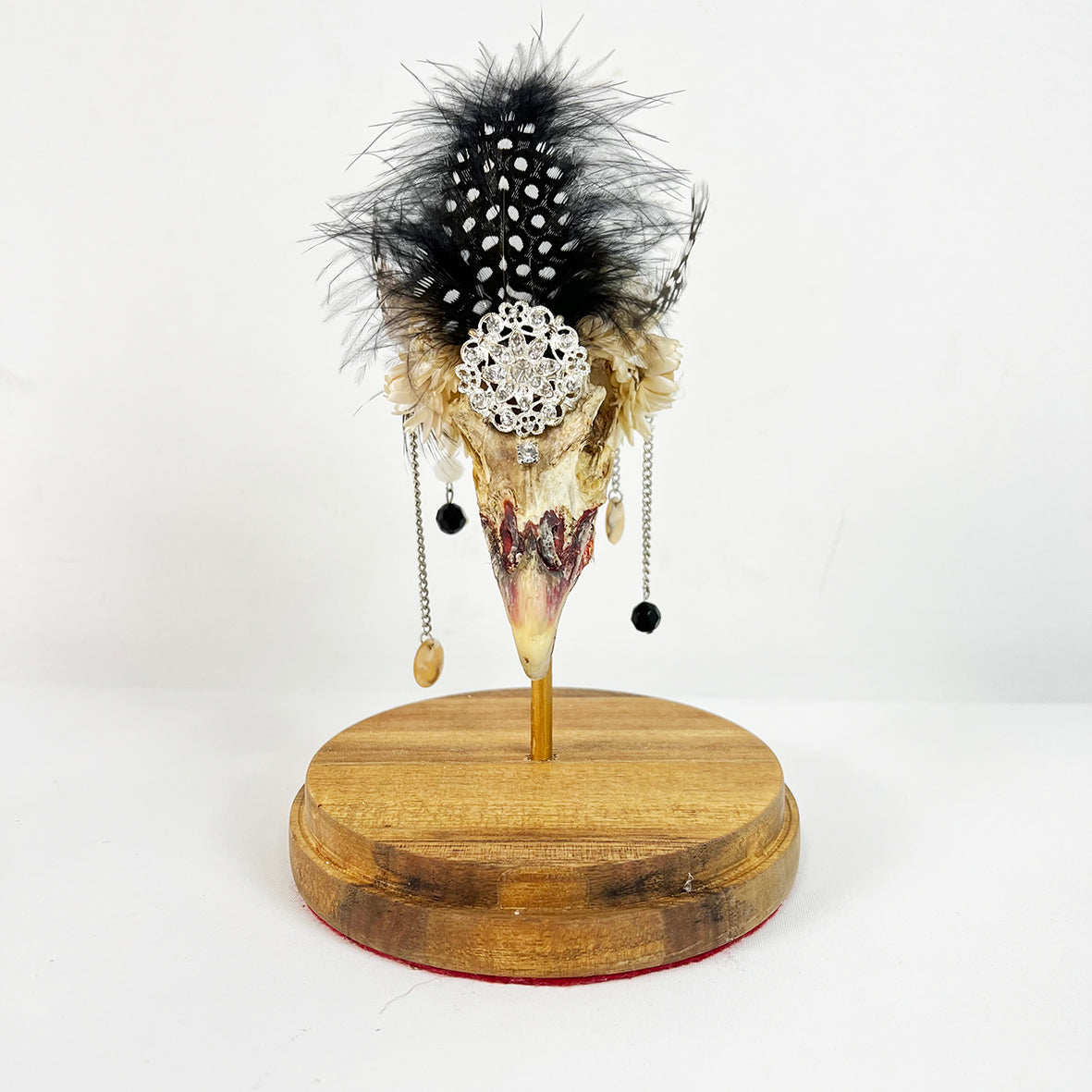 Decorative Bird Skull in Glass Cloche