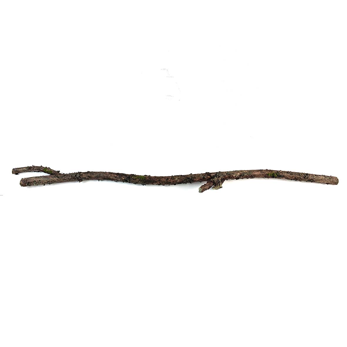 Faux Stick / Branch