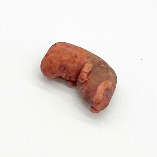 Silicone Fetus' - Various Gestations (9 - 21 Weeks)