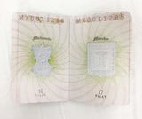 Imitation Mexican Passport