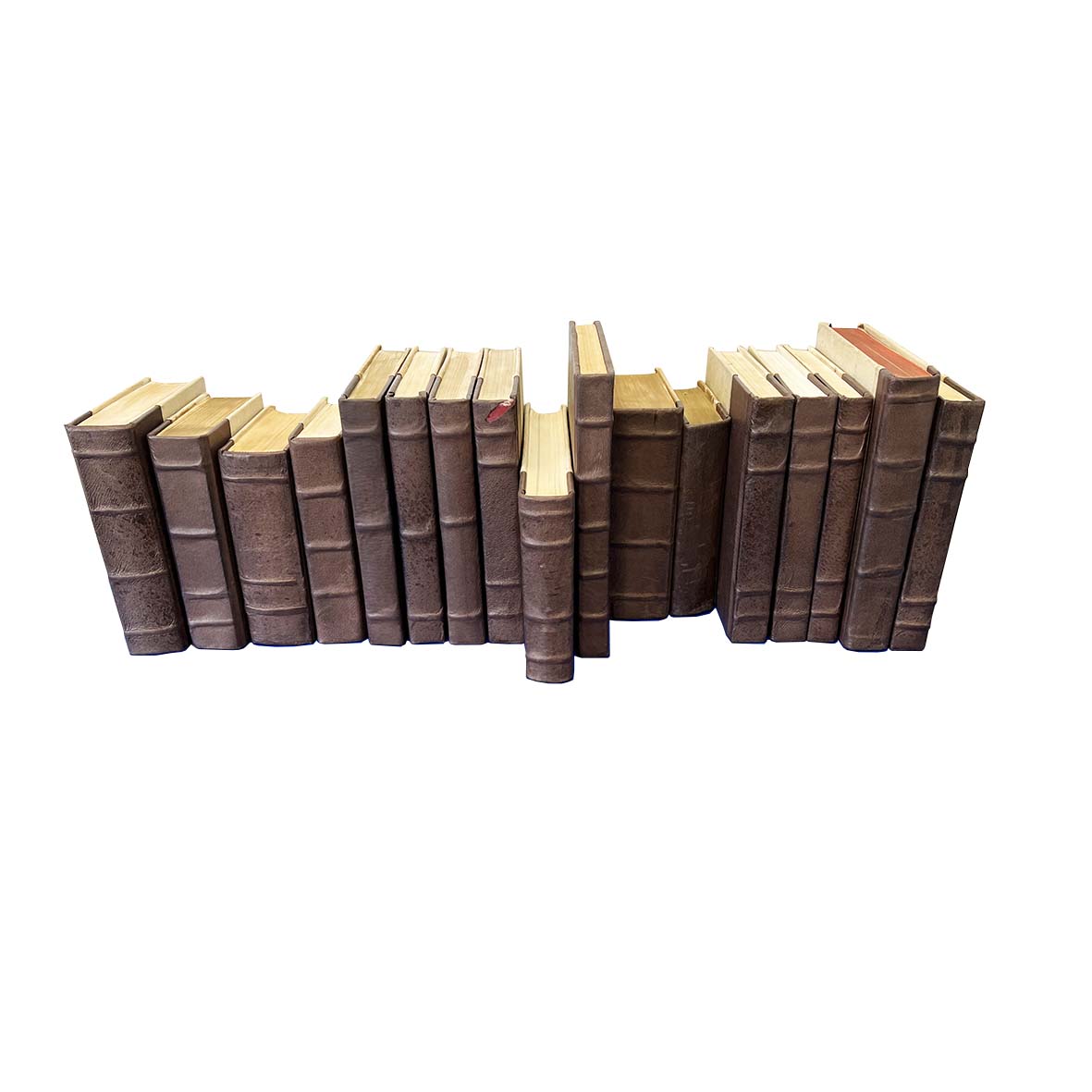 Leather Bound Books - Set 2