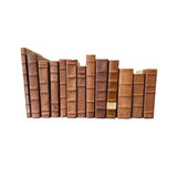 Leather Bound Books - Set 4