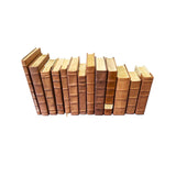 Leather Bound Books - Set 4