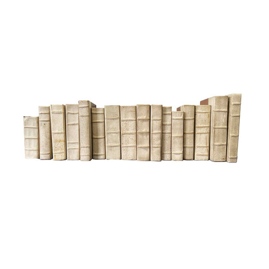 Leather Bound Books - Set 6
