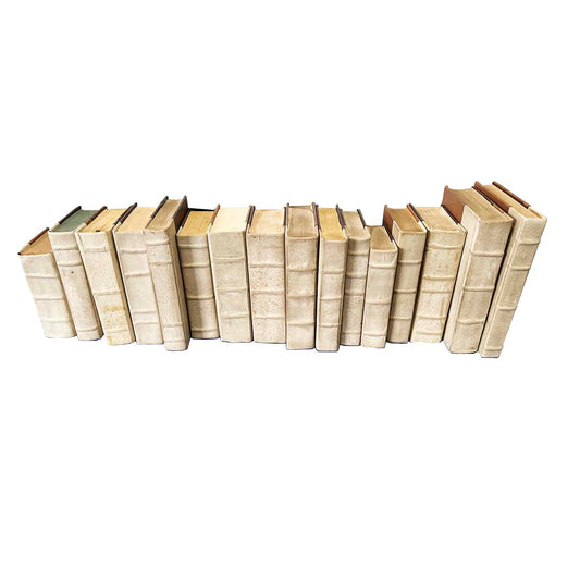 Leather Bound Books - Set 6