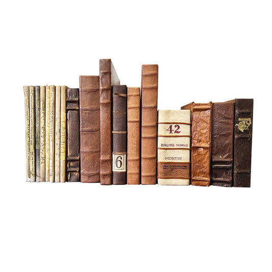 Leather Bound Books - Set 7