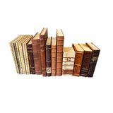 Leather Bound Books - Set 7