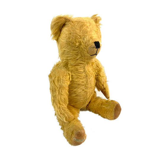 Much Loved Teddy Bear