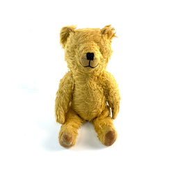 Much Loved Teddy Bear