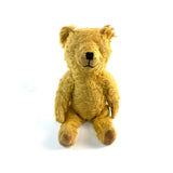 Much Loved Teddy Bear