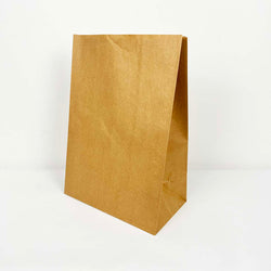 US Grocery Paper Bag (Price is for 5)