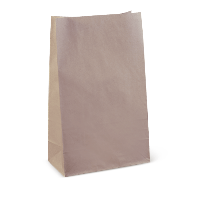 US Grocery Paper Bag (Price is for 5) - 2 Sizes