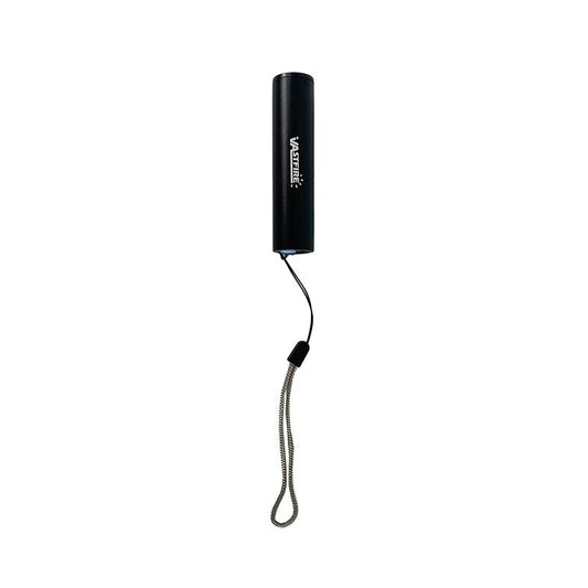 Miniature Black Light / UV Torch