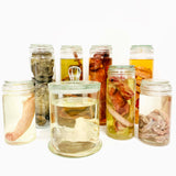 Range of Wet Specimen Jars