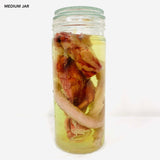 Range of Wet Specimen Jars