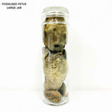 Range of Wet Specimen Jars