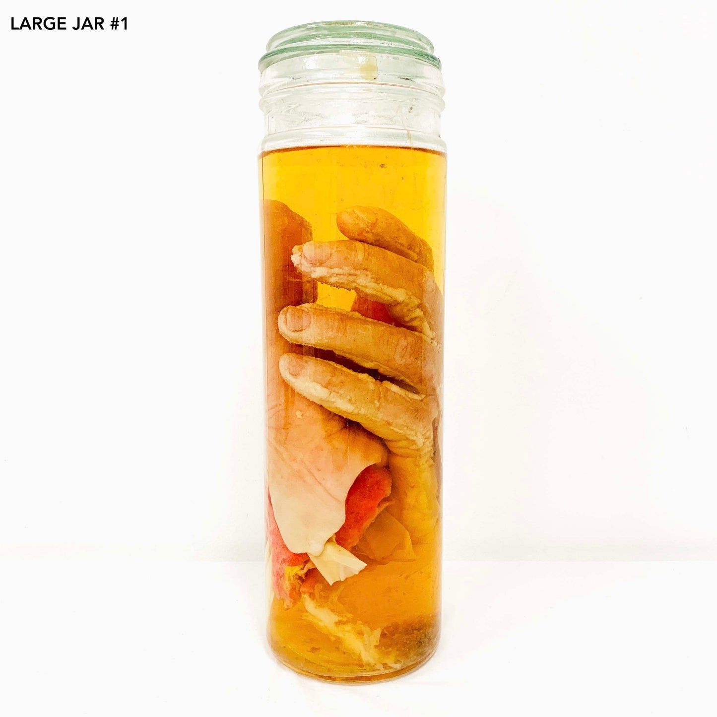 Range of Wet Specimen Jars