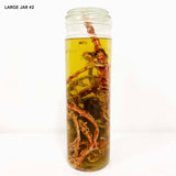 Range of Wet Specimen Jars