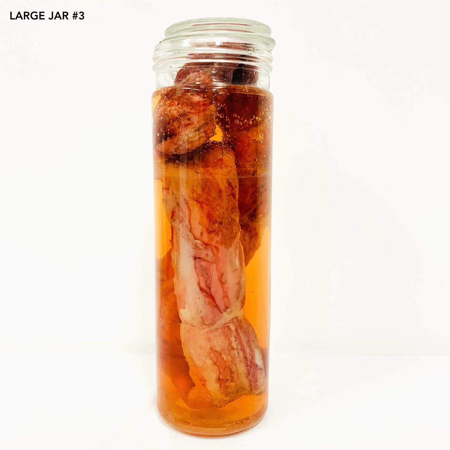 Range of Wet Specimen Jars