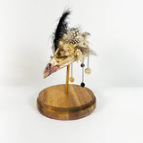 Decorative Bird Skull in Glass Cloche