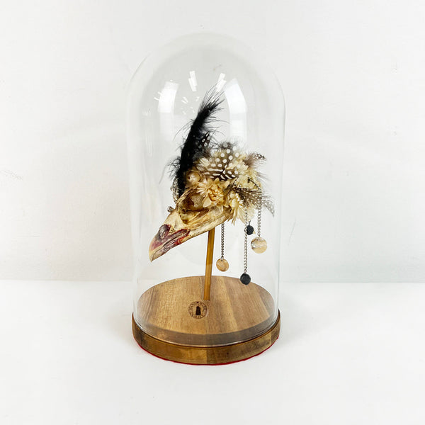 Decorative Bird Skull in Glass Cloche