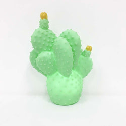 Cactus Table Lamps
